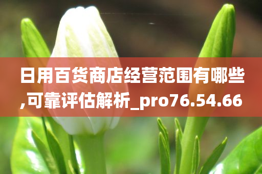 日用百货商店经营范围有哪些,可靠评估解析_pro76.54.66