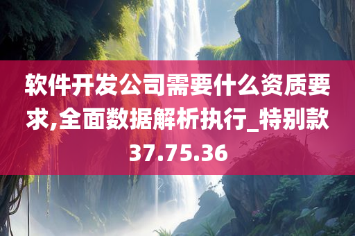 软件开发公司需要什么资质要求,全面数据解析执行_特别款37.75.36