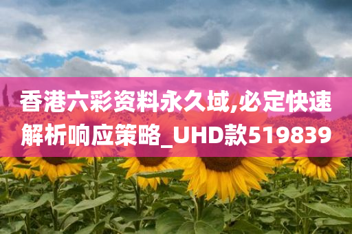 香港六彩资料永久域,必定快速解析响应策略_UHD款519839