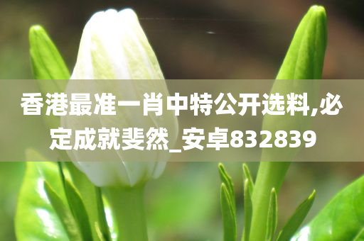 香港最准一肖中特公开选料,必定成就斐然_安卓832839