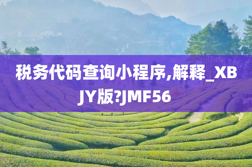 税务代码查询小程序,解释_XBJY版?JMF56