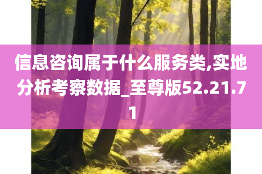 信息咨询属于什么服务类,实地分析考察数据_至尊版52.21.71