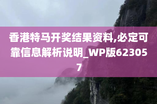 香港特马开奖结果资料,必定可靠信息解析说明_WP版623057