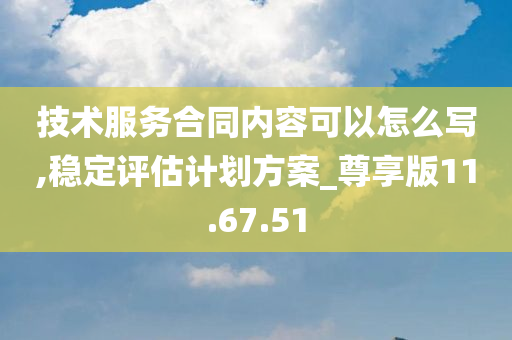 技术服务合同内容可以怎么写,稳定评估计划方案_尊享版11.67.51