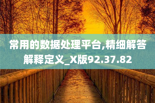 常用的数据处理平台,精细解答解释定义_X版92.37.82