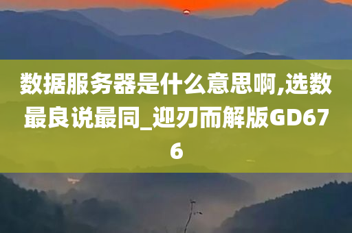 数据服务器是什么意思啊,选数最良说最同_迎刃而解版GD676