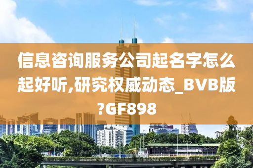 信息咨询服务公司起名字怎么起好听,研究权威动态_BVB版?GF898