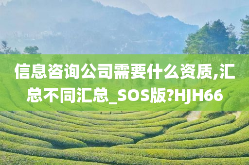 信息咨询公司需要什么资质,汇总不同汇总_SOS版?HJH66