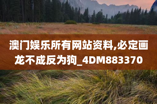 澳门娱乐所有网站资料,必定画龙不成反为狗_4DM883370