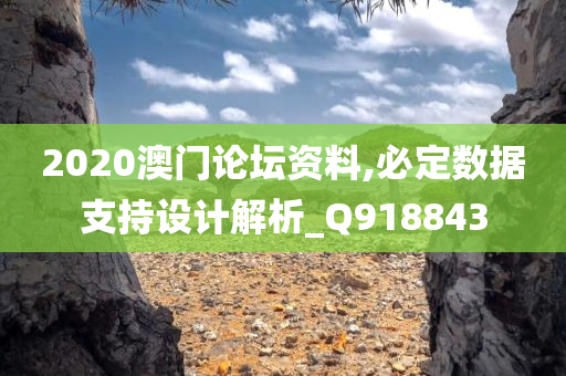 2020澳门论坛资料,必定数据支持设计解析_Q918843