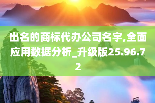 出名的商标代办公司名字,全面应用数据分析_升级版25.96.72