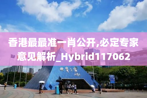 香港最最准一肖公开,必定专家意见解析_Hybrid117062