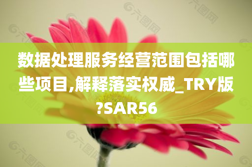 数据处理服务经营范围包括哪些项目,解释落实权威_TRY版?SAR56