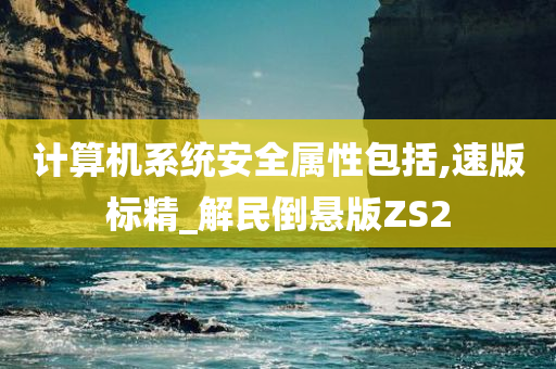 计算机系统安全属性包括,速版标精_解民倒悬版ZS2