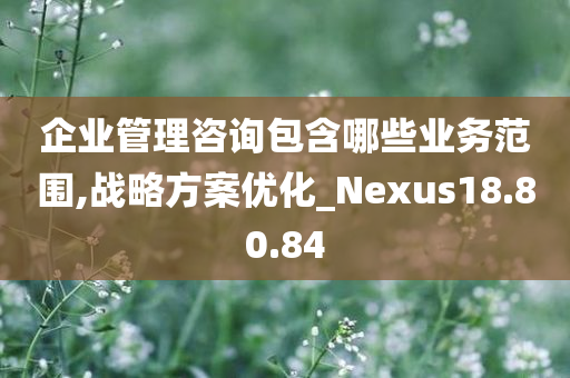 企业管理咨询包含哪些业务范围,战略方案优化_Nexus18.80.84