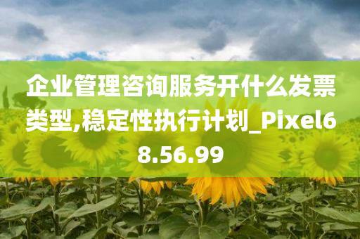 企业管理咨询服务开什么发票类型,稳定性执行计划_Pixel68.56.99