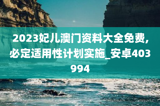 2023妃儿澳门资料大全免费,必定适用性计划实施_安卓403994