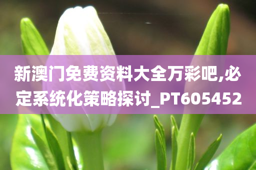 新澳门免费资料大全万彩吧,必定系统化策略探讨_PT605452