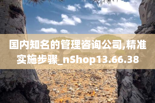 国内知名的管理咨询公司,精准实施步骤_nShop13.66.38