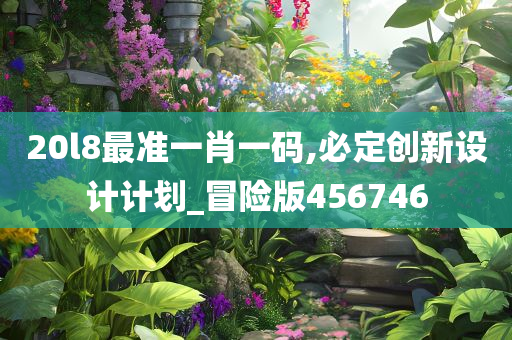 20l8最准一肖一码,必定创新设计计划_冒险版456746