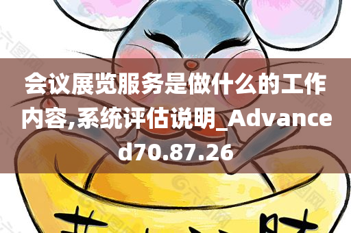 会议展览服务是做什么的工作内容,系统评估说明_Advanced70.87.26