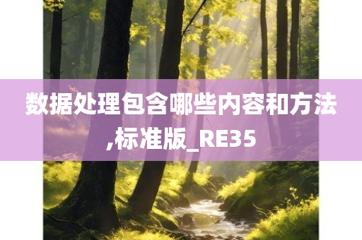 数据处理包含哪些内容和方法,标准版_RE35