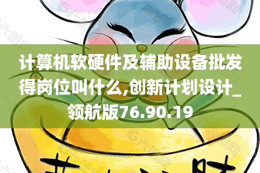 计算机软硬件及辅助设备批发得岗位叫什么,创新计划设计_领航版76.90.19