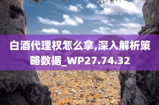 白酒代理权怎么拿,深入解析策略数据_WP27.74.32