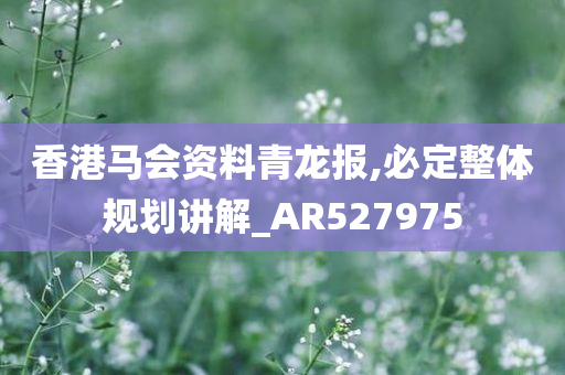 香港马会资料青龙报,必定整体规划讲解_AR527975