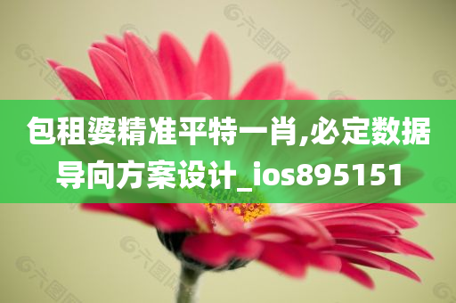 包租婆精准平特一肖,必定数据导向方案设计_ios895151