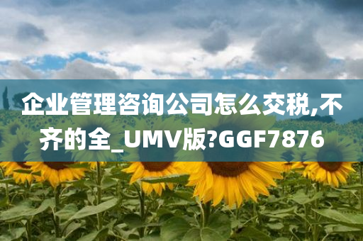 企业管理咨询公司怎么交税,不齐的全_UMV版?GGF7876