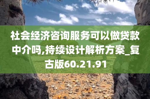 社会经济咨询服务可以做贷款中介吗,持续设计解析方案_复古版60.21.91