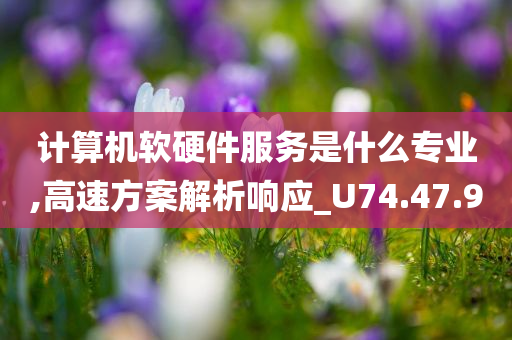 计算机软硬件服务是什么专业,高速方案解析响应_U74.47.90