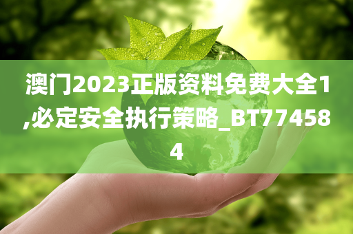 澳门2023正版资料免费大全1,必定安全执行策略_BT774584