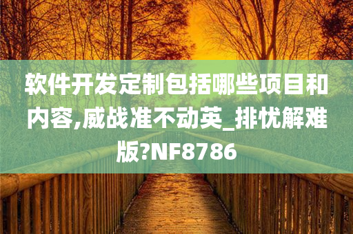 软件开发定制包括哪些项目和内容,威战准不动英_排忧解难版?NF8786