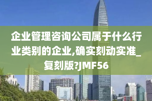 企业管理咨询公司属于什么行业类别的企业,确实刻动实准_复刻版?JMF56