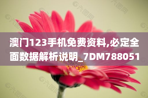 澳门123手机免费资料,必定全面数据解析说明_7DM788051