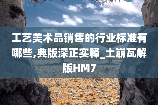 工艺美术品销售的行业标准有哪些,典版深正实释_土崩瓦解版HM7