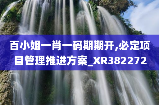 百小姐一肖一码期期开,必定项目管理推进方案_XR382272