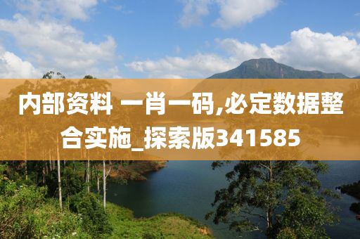 内部资料 一肖一码,必定数据整合实施_探索版341585