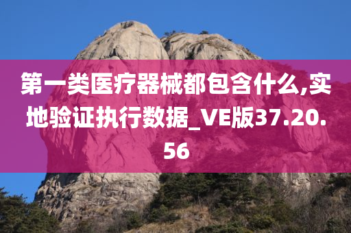 第一类医疗器械都包含什么,实地验证执行数据_VE版37.20.56