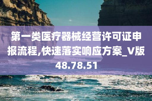 第一类医疗器械经营许可证申报流程,快速落实响应方案_V版48.78.51