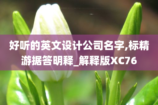 好听的英文设计公司名字,标精游据答明释_解释版XC76