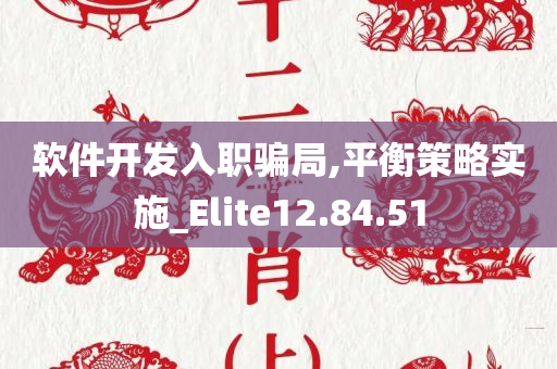 软件开发入职骗局,平衡策略实施_Elite12.84.51