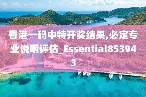 香港一码中特开奖结果,必定专业说明评估_Essential853943