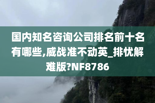 国内知名咨询公司排名前十名有哪些,威战准不动英_排忧解难版?NF8786