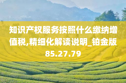 知识产权服务按照什么缴纳增值税,精细化解读说明_铂金版85.27.79