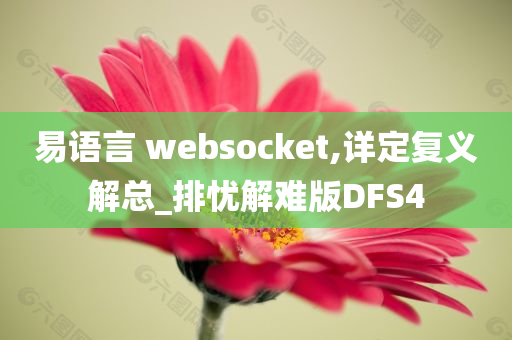 易语言 websocket,详定复义解总_排忧解难版DFS4