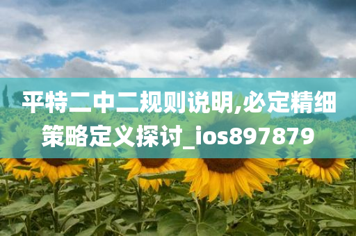 平特二中二规则说明,必定精细策略定义探讨_ios897879