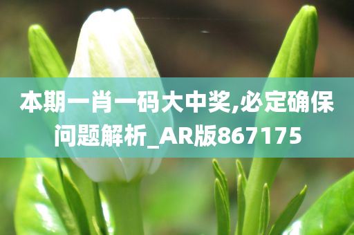 本期一肖一码大中奖,必定确保问题解析_AR版867175